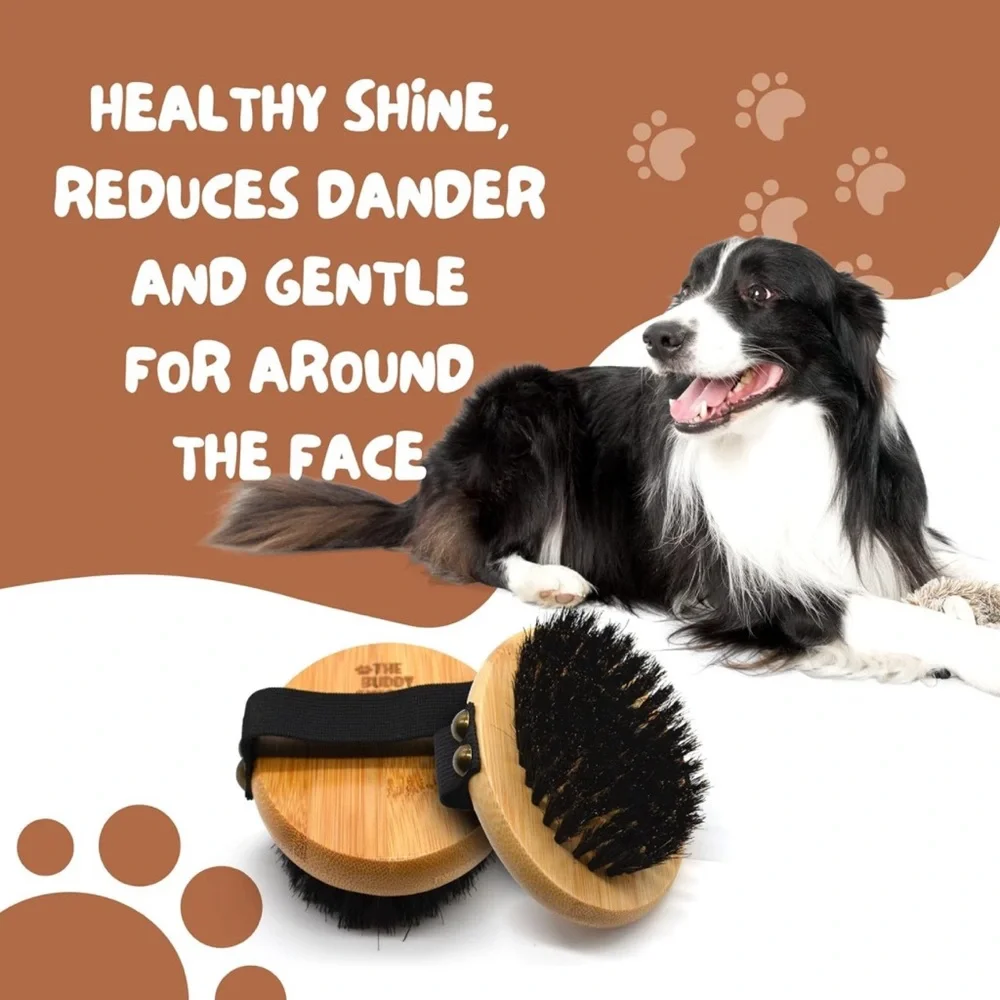 Bamboo Massage Handheld w/ Soft Boar Bristles -Elastic Band- gift with purchase